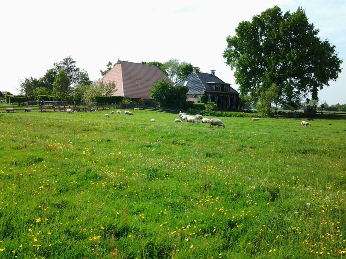 JutrijpDe Wylgepleats住宿加早餐旅馆 外观 照片